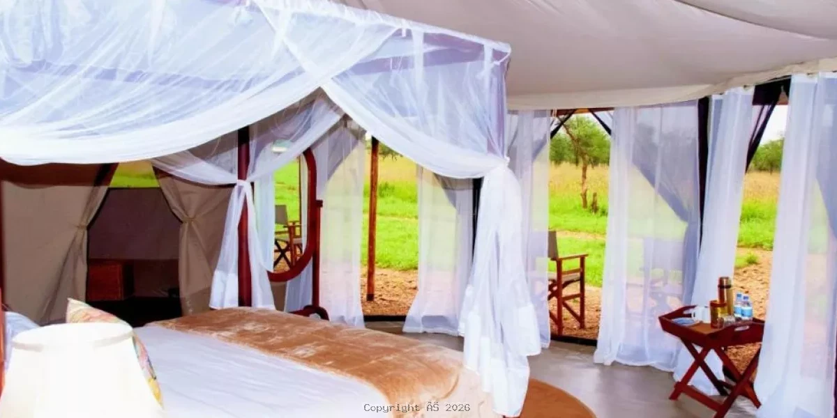 Giant of the Wild in Tarangire National Park