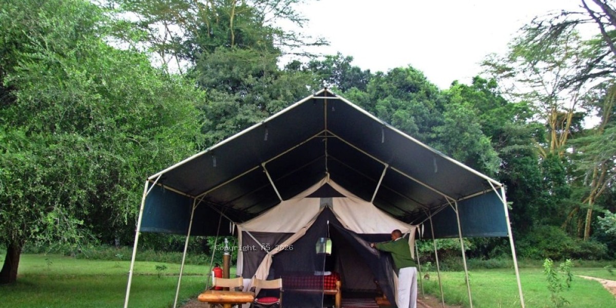 Giant of the Wild in Tarangire National Park