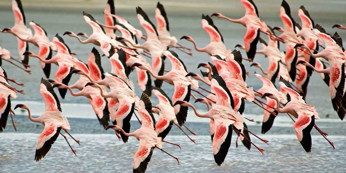 Lake Manyara National Park