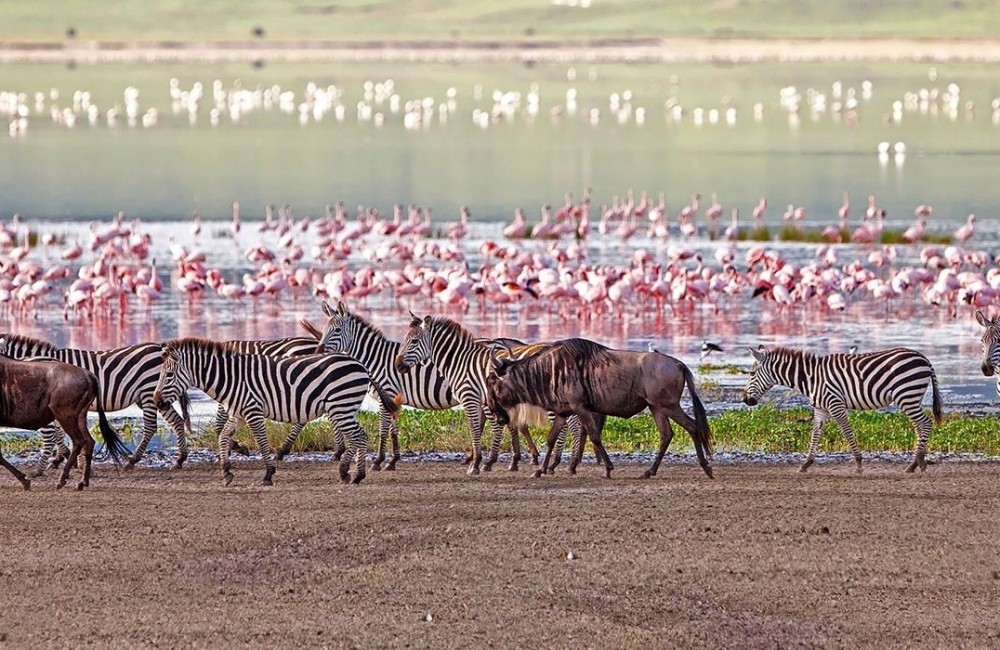  Lake Manyara National Park