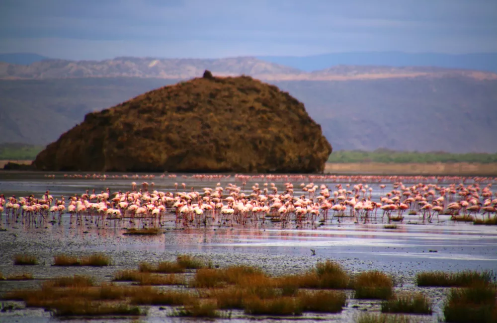 Lake Natron