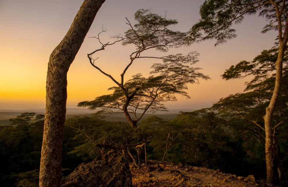 User Saadani National Park