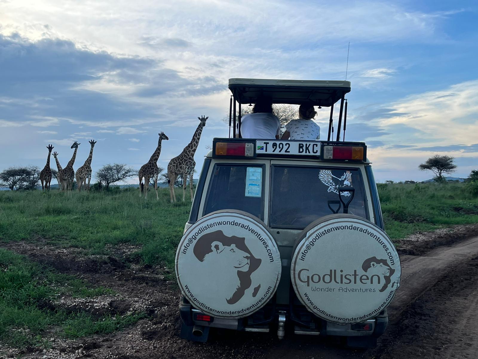 More Than a Safari